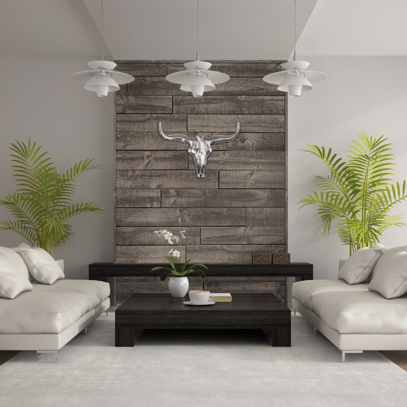 Wall concept covering elevation wild shadow